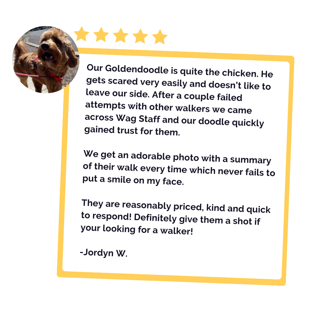 Testimonials "Our Goldendoodle is quite the chicken. He gets scared very easily and doesn’t like to leave our side. After a couple failed attempts with other walkers we came across Wag Staff and our doodle quickly gained trust for them. We get an adorable photo with a summary of their walk every time which never fails to put a smile on my face. They are reasonably priced, kind and quick to respond! Definitely give them a shot if your looking for a walker!"