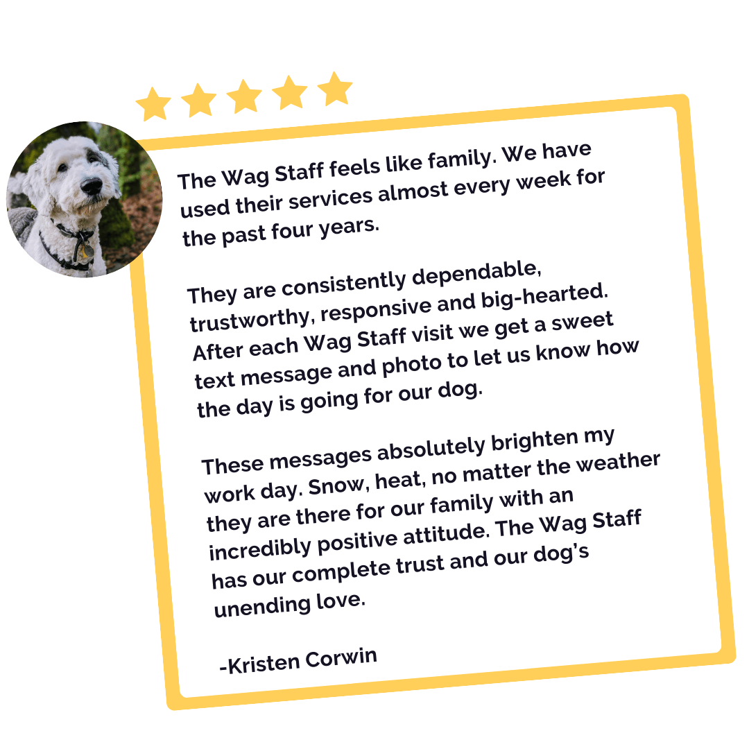 Testimonials "The Wag Staff feels like family. We have used their services almost every week for the past four years. They are consistently dependable, trustworthy, responsive and big-hearted. After each Wag Staff visit we get a sweet text message and photo to let us know how the day is going for our dog. These messages absolutely brighten my work day. Snow, heat, no matter the weather they are there for our family with an incredibly positive attitude. The Wag Staff has our complete trust and our dog’s unending love."