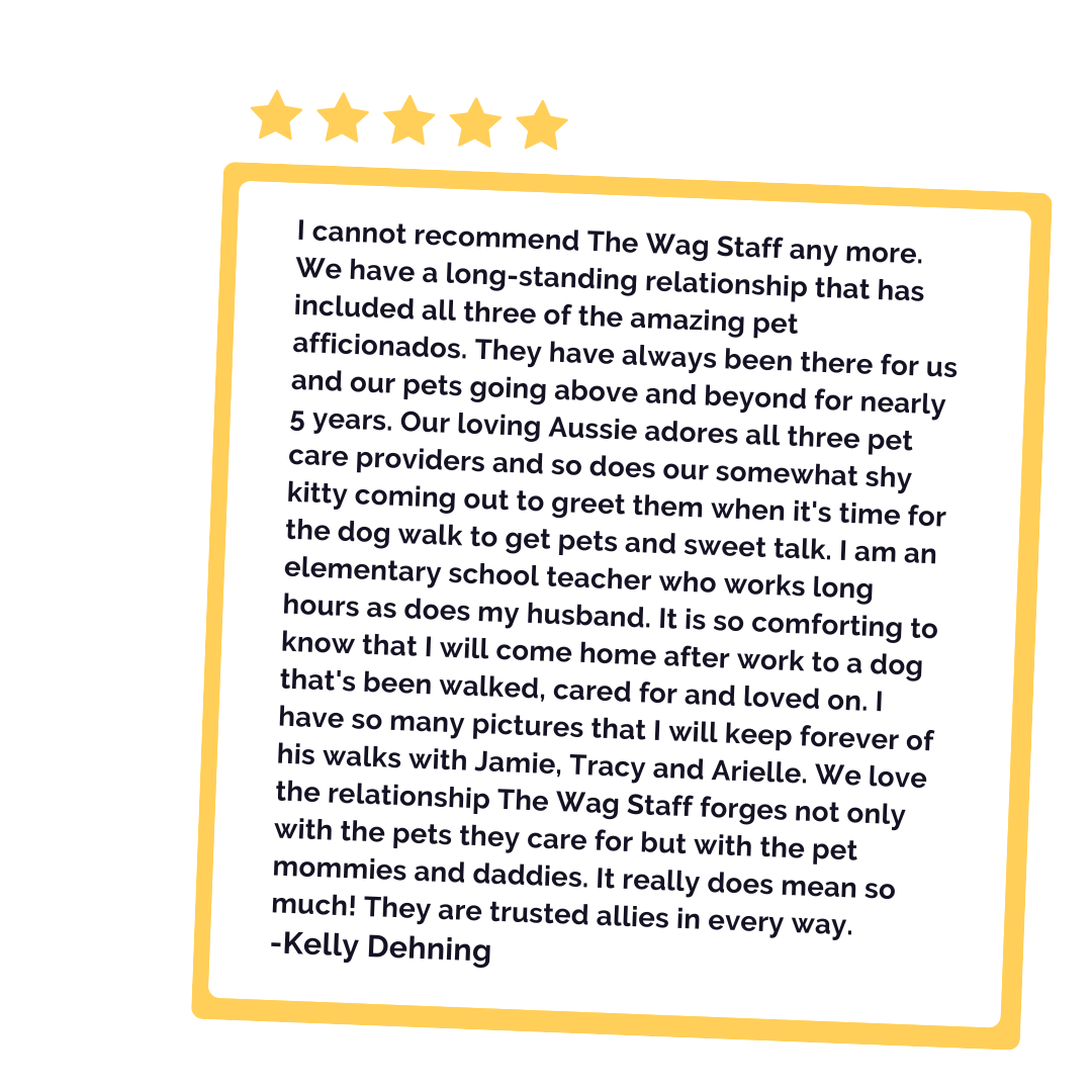 Testimonial "I cannot recommend The Wag Staff any more. We have a long-standing relationship that has included all three of the amazing pet afficionados. They have always been there for us and our pets going above and beyond for nearly 5 years. Our loving Aussie adores all three pet care providers and so does our somewhat shy kitty coming out to greet them when it's time for the dog walk to get pets and sweet talk. I am an elementary school teacher who works long hours as does my husband. It is so comforting to know that I will come home after work to a dog that's been walked, cared for and loved on. I have so many pictures that I will keep forever of his walks with Jamie, Tracy and Arielle. It warms my heart to read their after-walk message each day and see our sweet dog's face while he is out adventuring with them while also taking care of business. I swear there are photos where that dog is smiling! We love the relationship The Wag Staff forges not only with the pets they care for but with the pet mommies and daddies. It really does mean so much! They are trusted allies in every way."