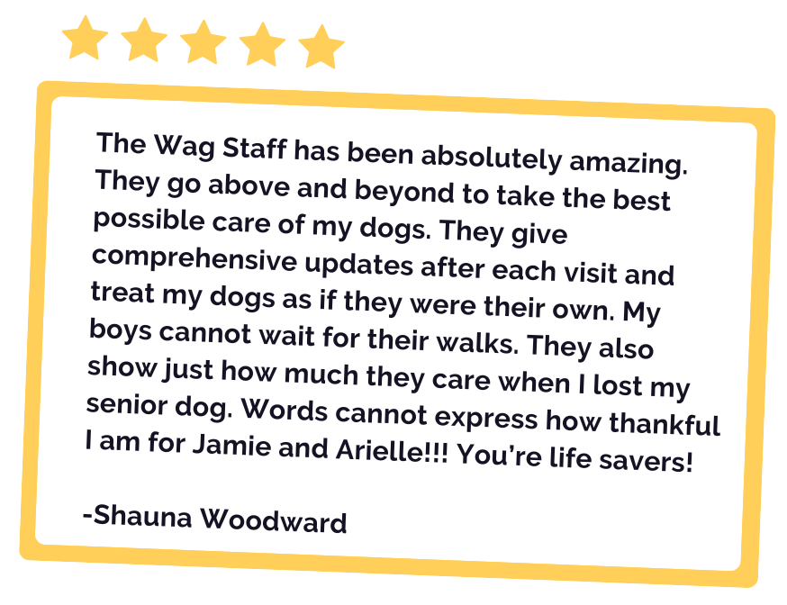 Testimonial - The Wag Staff has been absolutely amazing. They go above and beyond to take the best possible care of my dogs. They give comprehensive updates after each visit and treat my dogs as if they were their own. My boys cannot wait for their walks. They also show just how much they care when I lost my senior dog. Words cannot express how thankful I am for Jamie and Arielle!!! You’re life savers!